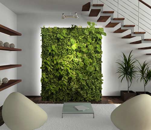 Hướng dẫn chi tiết cách gắn tường cây giả trong một góc nhà bạn.