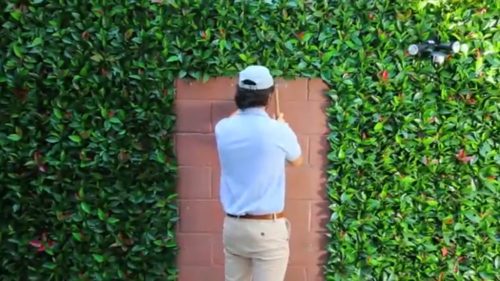 Hướng dẫn chi tiết cách gắn tường cây giả trong một góc nhà bạn.